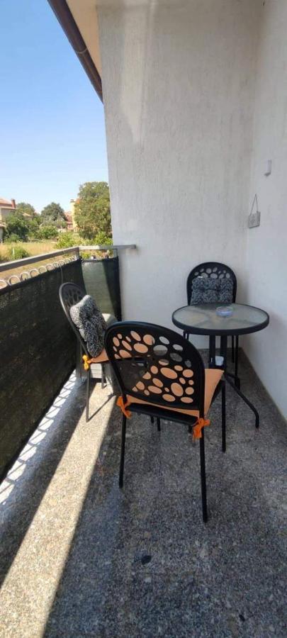 Apartment Eva 罗维尼村 外观 照片
